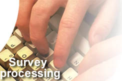 Survey processing